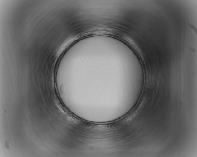 X0000101660986200807101021