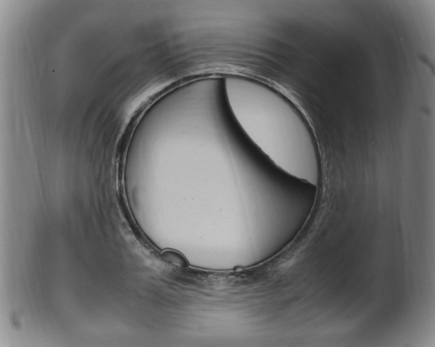 X0000101660987200807101021