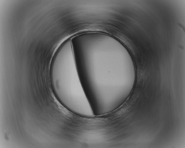X0000101660988200807101021