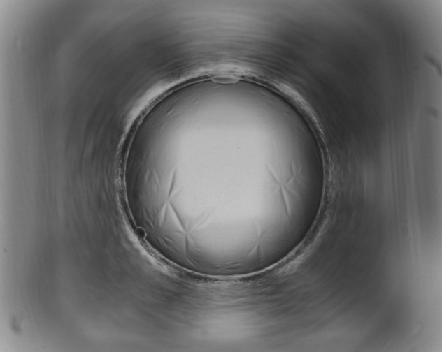 X0000101660989200807101021