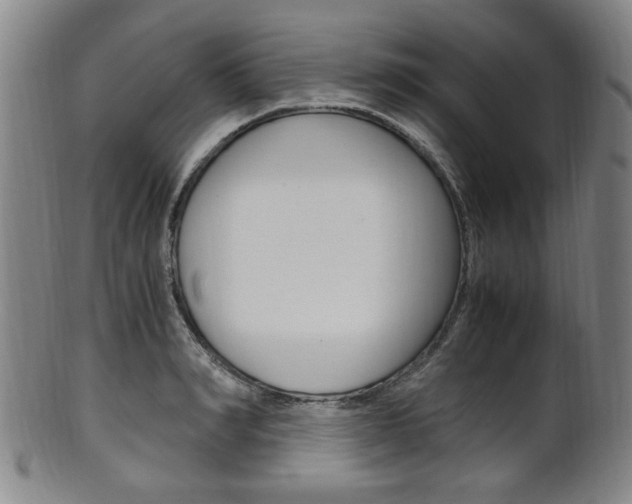 X0000101660990200807101021