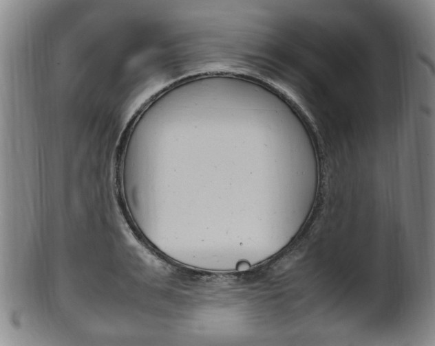 X0000101660991200807101021