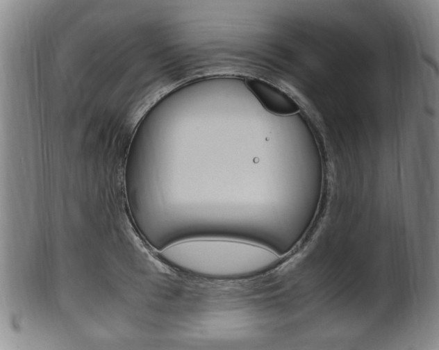 X0000101660993200807101020