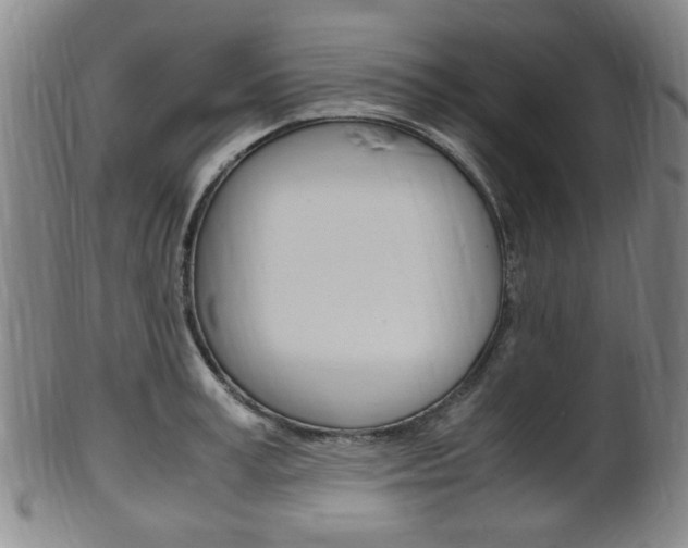X0000101660995200807101020