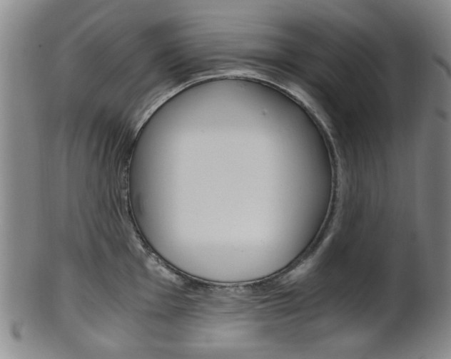 X0000101661001200807101020