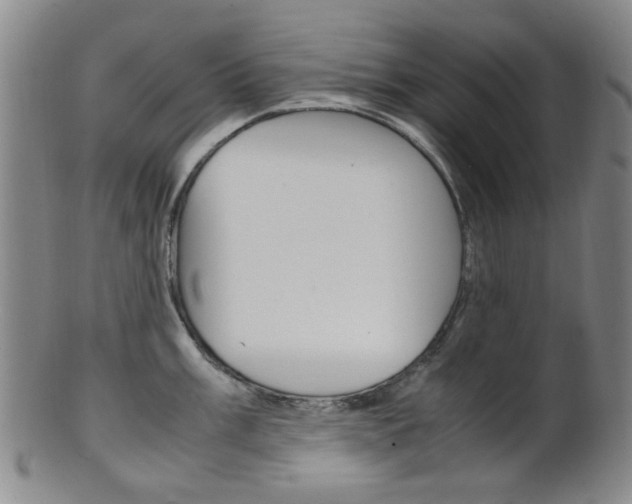X0000101661003200807101020