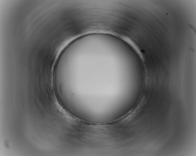 X0000101661004200807101020