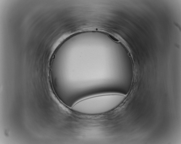 X0000101661005200807101020