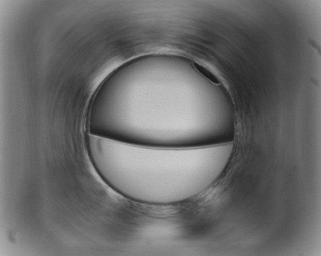 X0000101661007200807101020