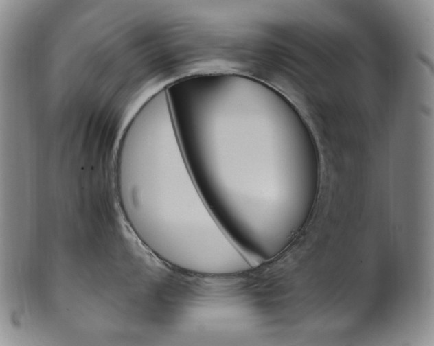 X0000101661008200807101020
