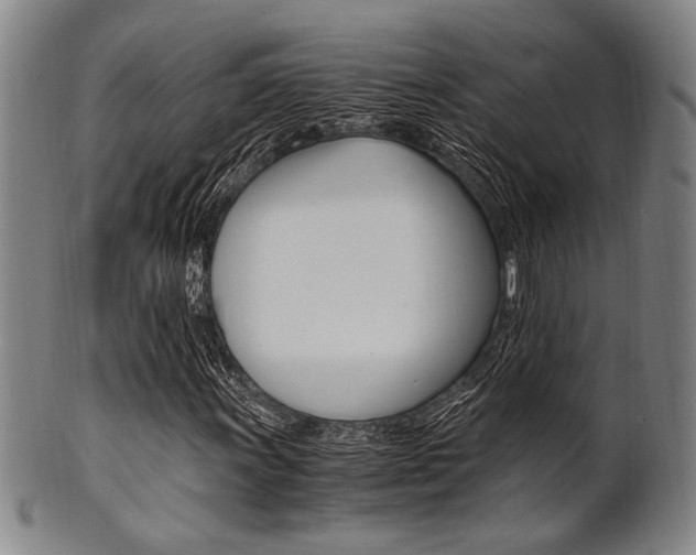 X0000101661011200807101020