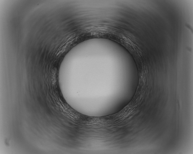X0000101661012200807101020