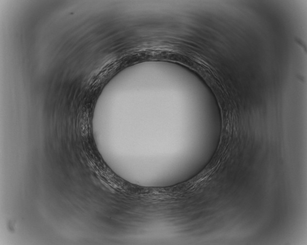 X0000101661014200807101020