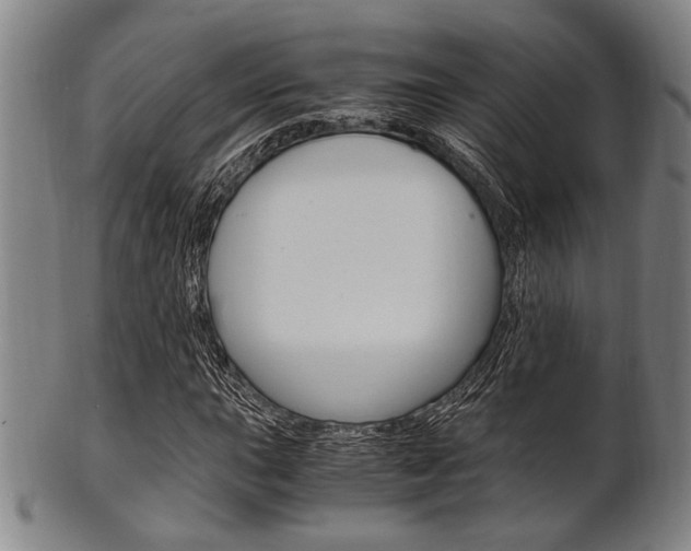 X0000101661015200807101020