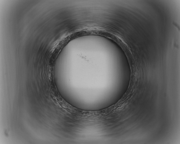 X0000101661016200807101020