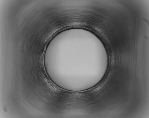 X0000101661017200807101020
