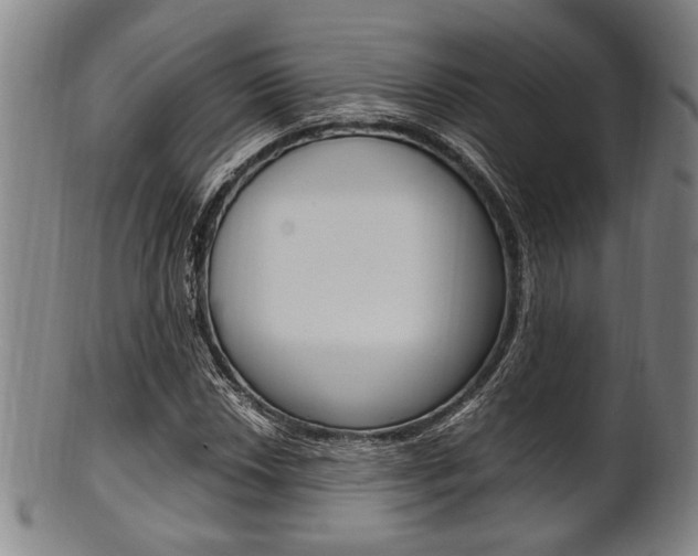X0000101661018200807101020