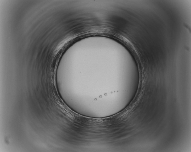 X0000101661019200807101020