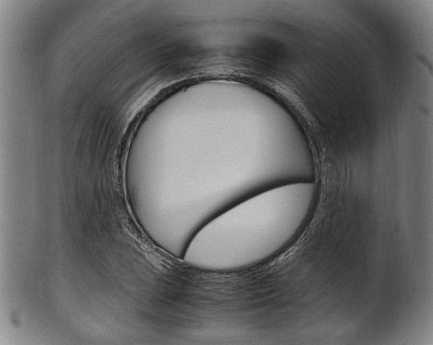 X0000101661023200807101020