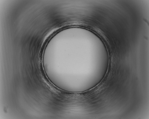X0000101661024200807101020