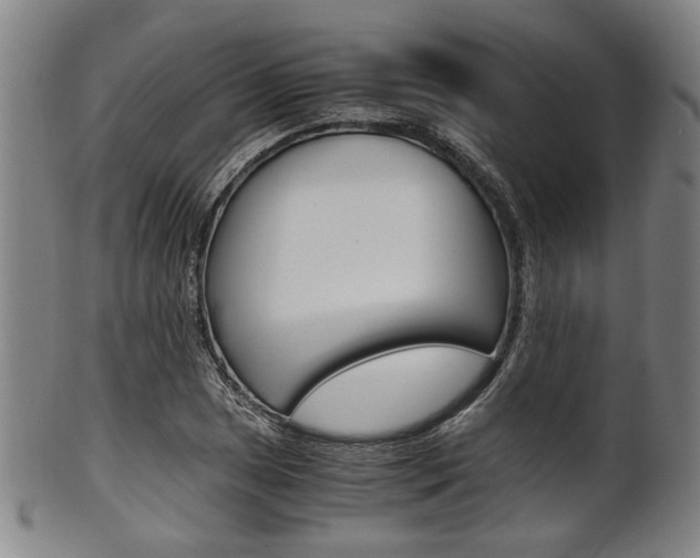 X0000101661025200807101020