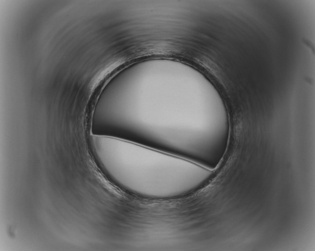 X0000101661026200807101020