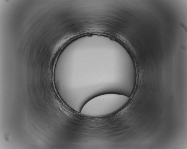 X0000101661027200807101020