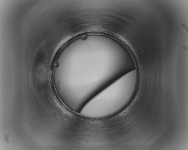 X0000101661029200807101020