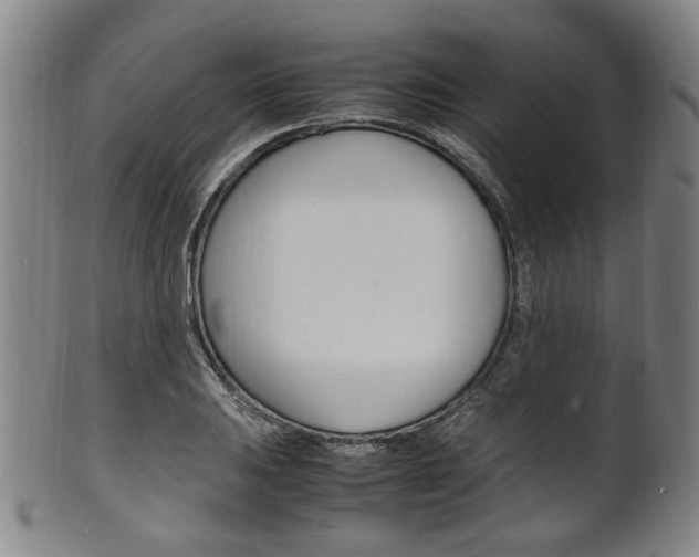X0000101661031200807101020