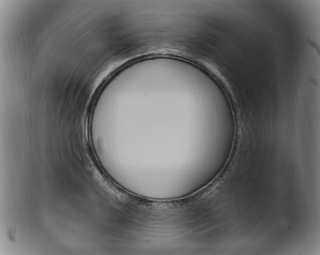 X0000101661032200807101020
