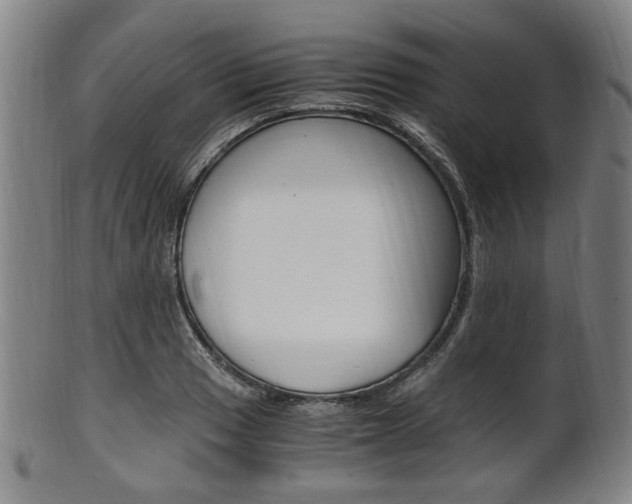X0000101661033200807101020