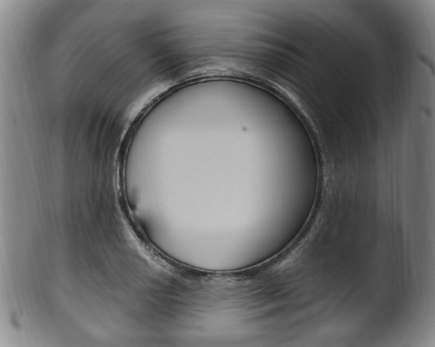 X0000101661034200807101020
