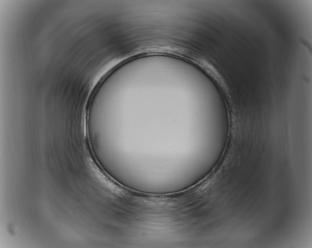 X0000101661036200807101020