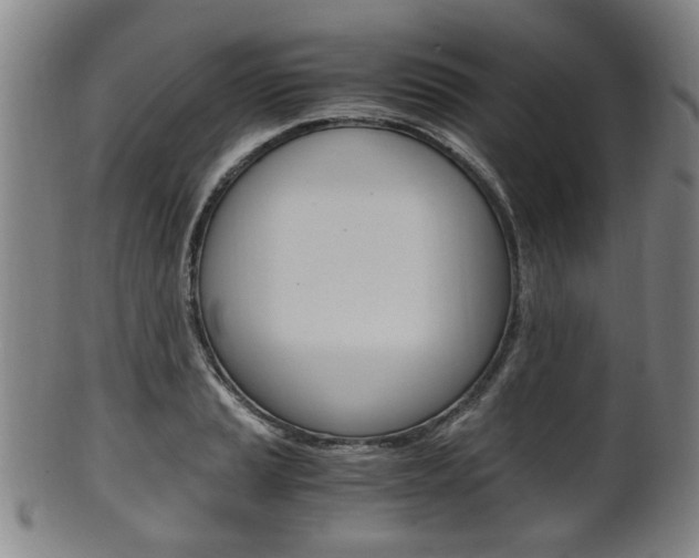 X0000101661037200807101020