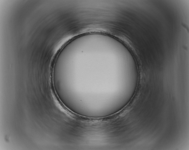 X0000101661038200807101020