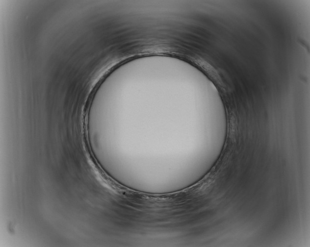 X0000101661039200807101020