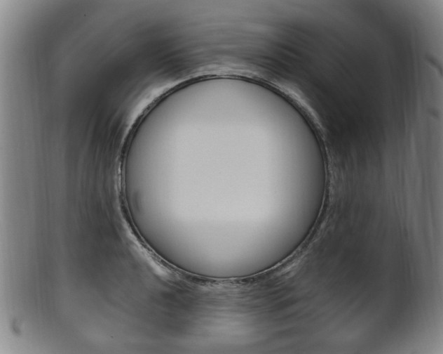 X0000101661040200807101020