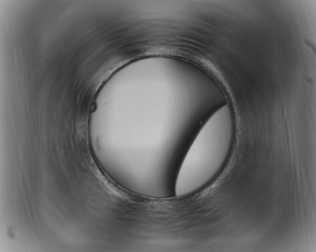 X0000101661041200807101020