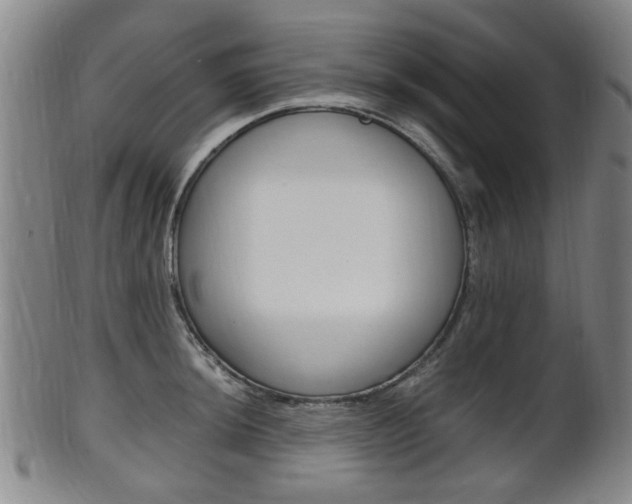 X0000101661044200807101020