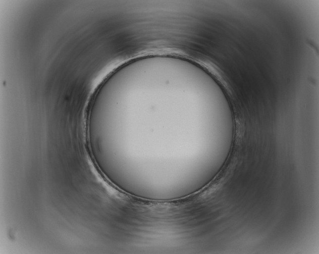 X0000101661046200807101020