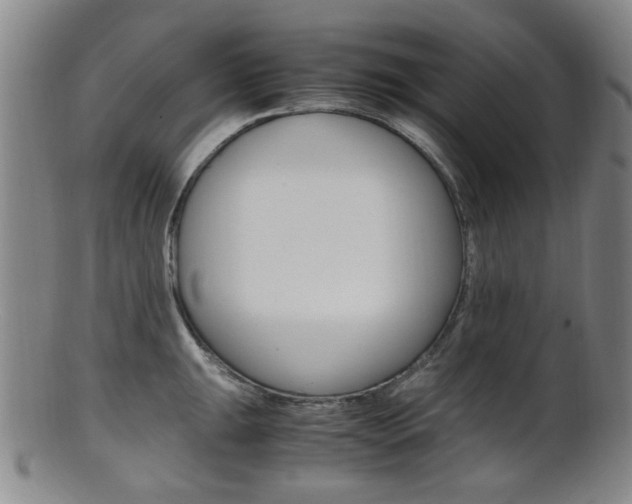 X0000101661047200807101020