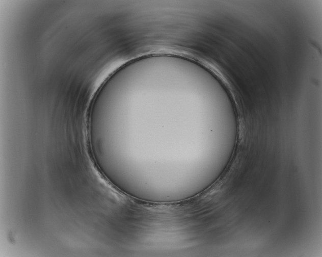 X0000101661048200807101020