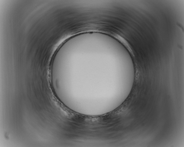 X0000101661051200807101020
