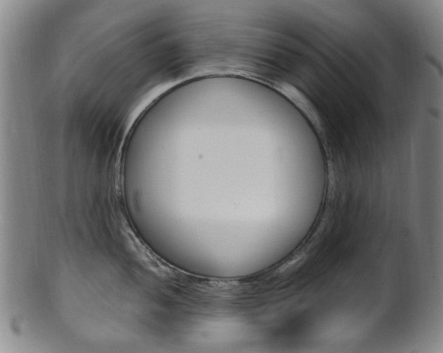 X0000101661052200807101020