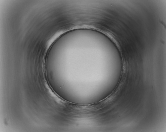 X0000101661054200807101020