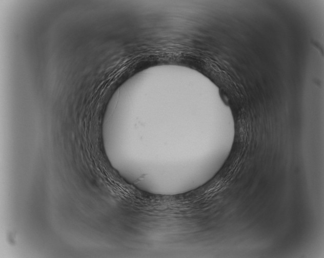 X0000101661057200807101020