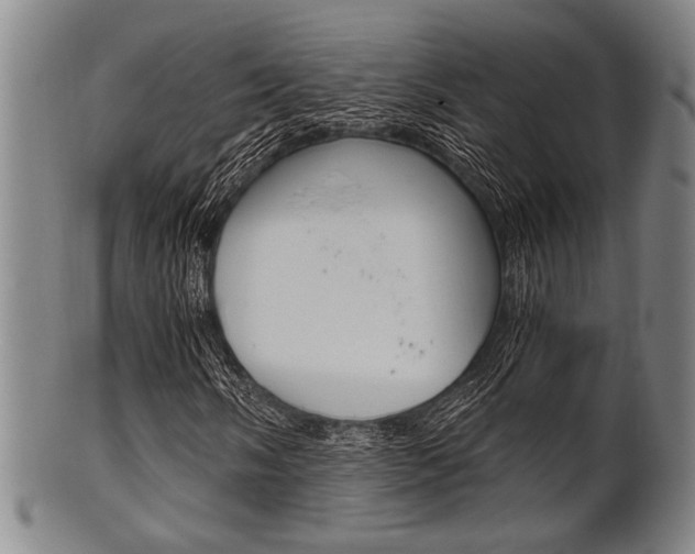 X0000101661058200807101020