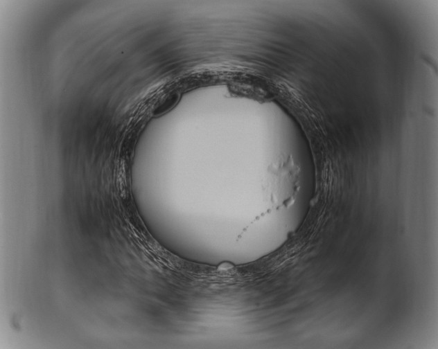 X0000101661062200807101020
