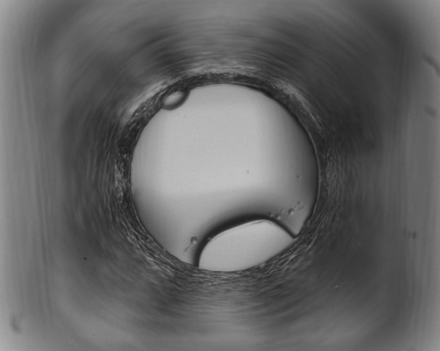X0000101661064200807101020
