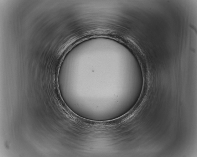X0000101661065200807101019